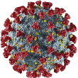 Corona Long Covid Sars CoVid-19 Virus Viren